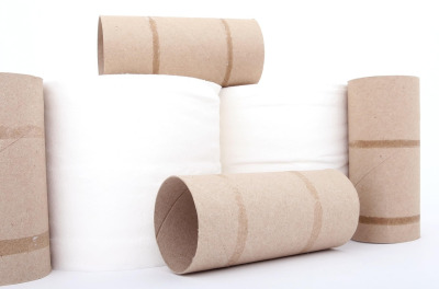 toilet paper rolls